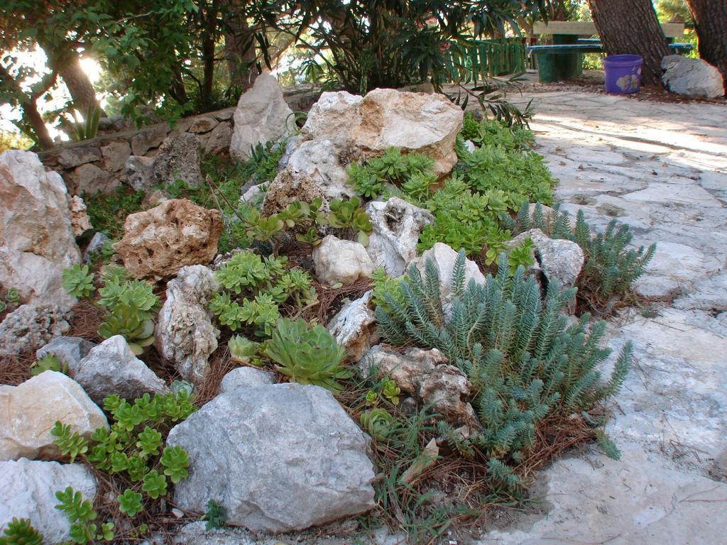 Apartment Gal Podgora Extérieur photo